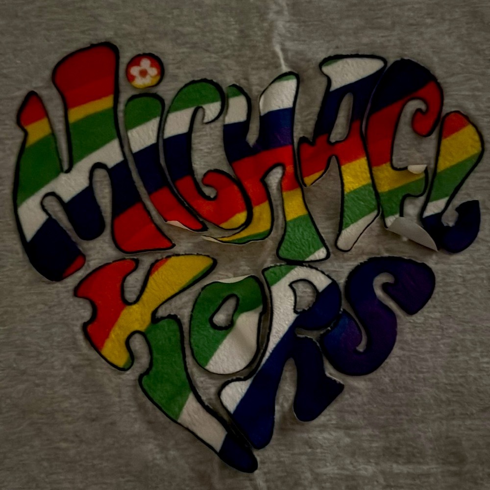 Michael Kors Rainbow Collection 2pc Short set Tshirt & Jogger Shorts Grey EUC - Picture 7 of 16